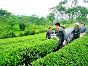 Tiến tới một nền nông nghiệp xanh