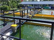 Nuôi trồng thủy sản 4.0: cần hiểu rõ về chi phí công nghệ