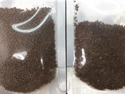 Thảo dược ngâm chân với thành phần muối Cần Giờ