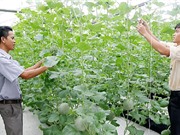 TPHCM: Tài trợ các đến 50% kinh phí thực hiện cho các dự án hỗ trợ khởi nghiệp đổi mới sáng tạo