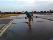 Cải tiến ruộng muối bằng than đốt rơm rạ 
