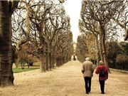 Tập thể dục có liên quan đến việc giảm nguy cơ mắc bệnh Alzheimer