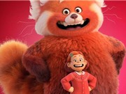 Tám điều bất ngờ về gấu trúc đỏ trong phim hoạt hình "Turning Red"