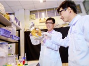 Chuyển giao công nghệ: Để không còn là bài toán khó?