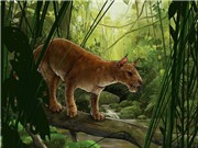 Phát hiện loài săn mồi răng kiếm cổ xưa nhất