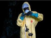 Truy tìm virus gây đại dịch tiếp theo