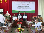 Xây dựng mô hình thí điểm điện mặt trời kết hợp nông nghiệp ở Đà Lạt
