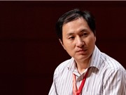 Trung Quốc củng cố đạo đức nghiên cứu 