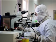 7 trường đại học Việt Nam vào bảng xếp hạng tác động toàn cầu của THE