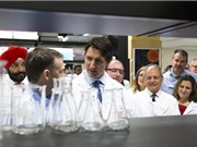 Cơ quan đổi mới sáng tạo mới của Canada: Mô hình phù hợp?