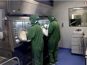 Liệu pháp tế bào CAR-T mở ra triển vọng trong điều trị ung thư dạ dày
