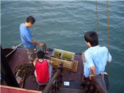 Dự báo những vùng biển sắp bị ô nhiễm