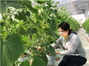 Quỹ KH&CN địa phương và doanh nghiệp: Nút thắt cơ chế?