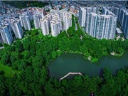 TPHCM xây dựng bộ tiêu chí đánh giá đô thị tăng trưởng xanh 