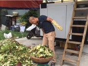 Máy sản xuất phân hữu cơ nhanh và tiết kiệm điện năng