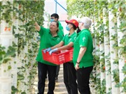 Hoa trái sinh trưởng ... từ những viên đá