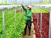 Bà Rịa – Vũng Tàu tổ chức thi khởi nghiệp đổi mới sáng tạo 
