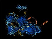 AI dự đoán được hình dạng của mọi loại protein đã biết