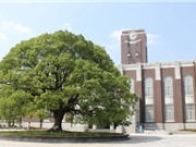 Đại học Kyoto - Nhật bản: Học phủ tối cao