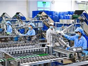 TPHCM đánh giá nhu cầu công nghệ của doanh nghiệp
