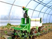 Robot và AI: Trung tâm của nông nghiệp chính xác