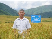 Mô hình Làng nông nghiệp ứng phó với biến đổi khí hậu ở Tây Bắc 