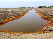 Tận dụng nước phèn để chế tạo vật liệu xử lý nước ô nhiễm