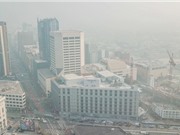 Tìm thấy các hạt ô nhiễm không khí độc hại trong phổi và não của thai nhi