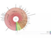 Giải trình tự hệ vi sinh môi trường không cần nuôi cấy: Sức mạnh của Metagenomics