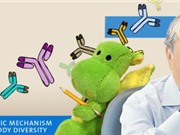 Susumu Tonegawa giải mã câu đố về sự đa dạng của kháng thể