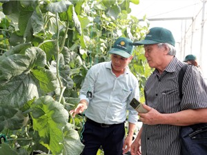 Chứng nhận chất lượng sản phẩm: Những bất cập và giải pháp?