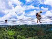 Quốc tế cam kết huy động 15,5 tỷ USD cho Việt Nam chuyển dịch năng lượng công bằng