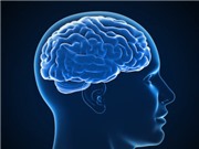 Xét nghiệm máu mới có thể phát hiện protein độc hại ở bệnh Alzheimer