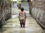 Mô hình dự báo nguy cơ bệnh truyền nhiễm do biến đổi khí hậu