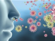 Mất khứu giác hậu Covid có thể do tế bào mũi bị phá hủy