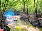 Hạ tầng xanh: Dựa vào thiên nhiên để thích ứng với biến đổi khí hậu 