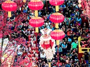 Vòng quanh thế giới: Phong tục năm mới