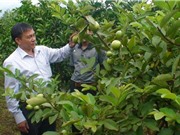 Sở KH&CN Thái Bình: Thông báo tuyển chọn tổ chức, cá nhân chủ trì thực hiện nhiệm vụ khoa học và công nghệ cấp tỉnh, bắt đầu thực hiện từ năm 2023