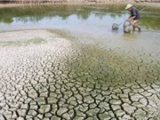 Nghiên cứu khả năng thích ứng với biến đổi khí hậu của hai dân tộc thiểu số ở miền Trung 