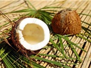 Đường dừa có thể hạ huyết áp, giảm xơ cứng động mạch ở người lớn tuổi