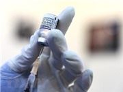 Vaccine mới giúp phòng ngừa các bệnh do nấm gây ra