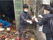 Theo dấu mê cung từ trang trại gia cầm đến chợ