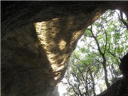 Những Homo sapiens đầu tiên sống ở châu Âu săn bắn bằng cung tên