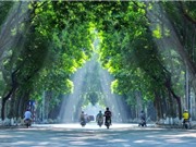 Hà Nội: 2/3 nguồn phát thải ô nhiễm không khí đến từ bên ngoài thành phố