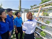 TPHCM: Trí thức trẻ tham gia thúc đẩy chuyển đổi số