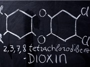 Hoa Kỳ tài trợ thêm 73 triệu USD cho dự án xử lý dioxin tại sân bay Biên Hòa