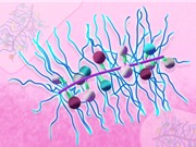 Hạt nano chứa đa thuốc: Nhắm mục tiêu điều trị ung thư hiệu quả hơn