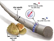 40% người dân Hà Nội phơi nhiễm bụi PM2.5 gấp đôi quy chuẩn quốc gia 