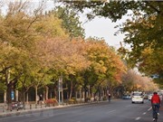 Sáu quốc gia đạt chất lượng không khí sạch năm 2022