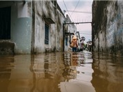 TPHCM thuộc nhóm các siêu đô thị gặp rủi ro đặc biệt khi nước biển dâng